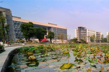 杭大是哪个大学