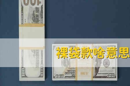 公开款是什么意思