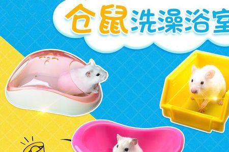 仓鼠浴沙筛子多少目