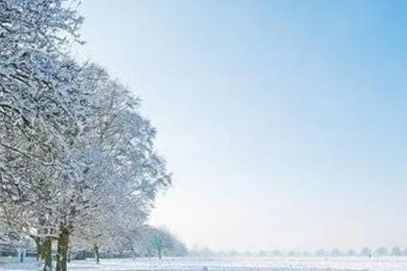 下雪子是什么意思