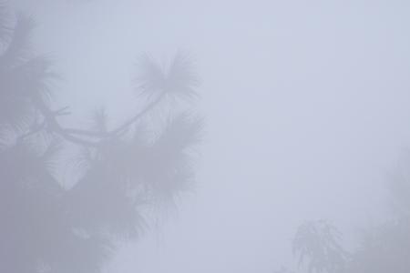 水汽和雾气有什么区别