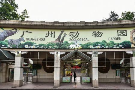 广州动物园都有哪些动物