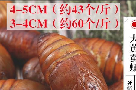 一斤吃的蚕蛹大概多少个