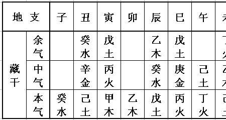 两个地支相同叫什么