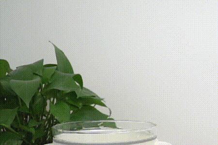 100w的电炖锅可以干嘛