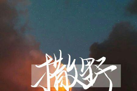 撒野是哪一年写的