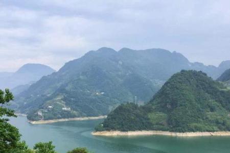 随性而往什么意思