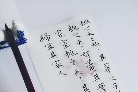 桃之夭夭有几画