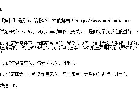 较弱和不足的意思