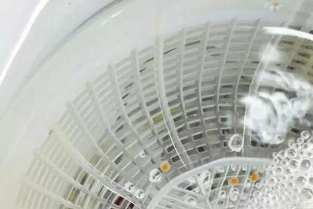 室内高密度水花的养殖技术