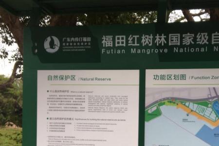 红树林车位怎么预约