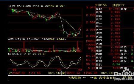 看似什么意思