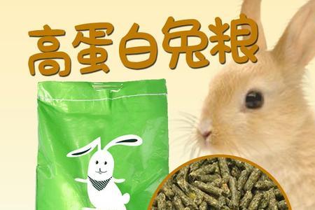 兔子不吃兔粮还能吃什么