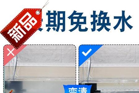 底滤鱼缸需要一直开氧气泵吗