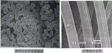 再生纤维素纤维和腈纶哪个好