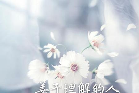 怎样才可以让自己不在傻