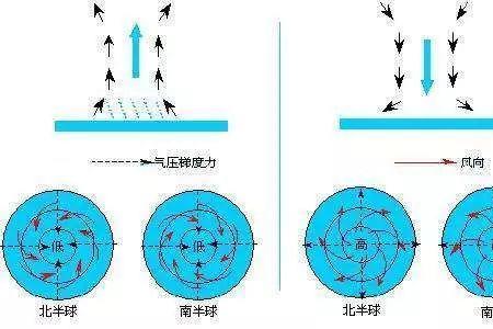地区效应是指什么