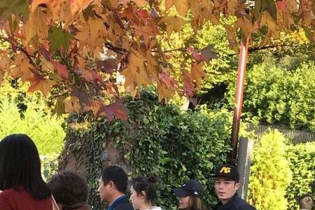 经常偶遇的人会喜欢上对方吗