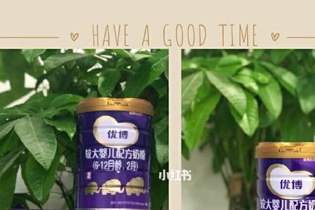 优益力奶粉增加免疫力吗
