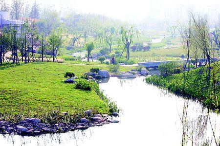 小河淌水什么梗