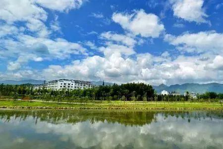 龙游是啥