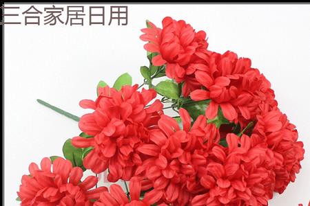 上坟可以用红色的花吗