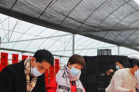 桔子基地对联