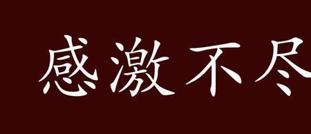 人力有穷尽之时尽力又尽啥意思