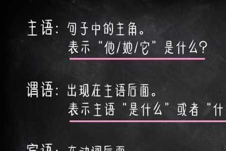 主谓宾从句是什么意思