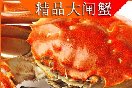 大公蟹跟小母蟹选哪个