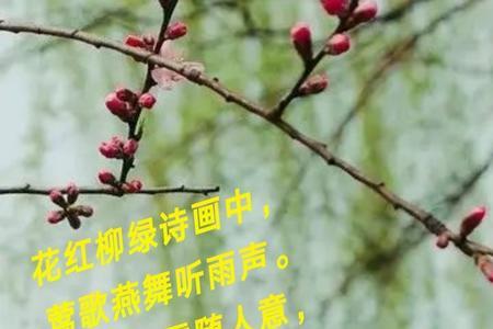 描写柳绿的诗句