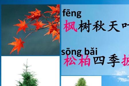 树之歌哪两种树珍贵
