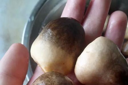 夏天蘑菇怎么保存