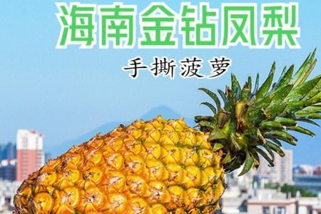 菠萝一年几熟
