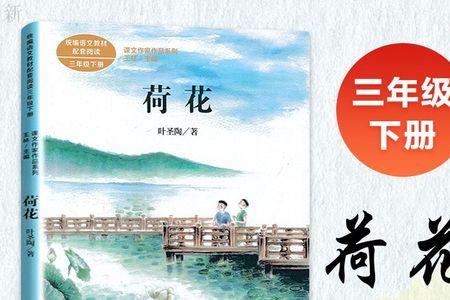 荷花叶圣陶全文有多少字