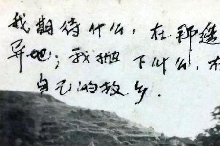 远在他乡遇故知下一句是什么