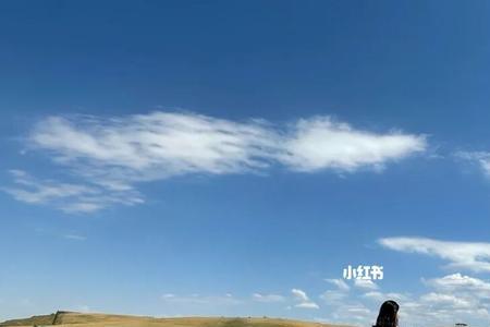 麦浪有风什么意思