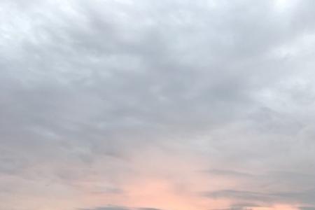 花鸟岛和枸杞岛哪个好