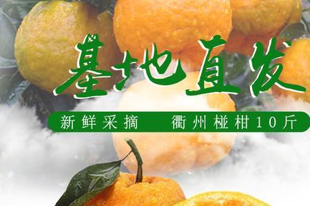 衢州橘子什么时候上市