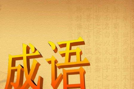 用什么成语形容习惯一个人生活