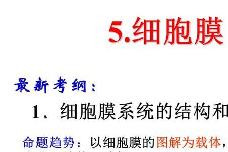 细胞膜和细胞壁的区别