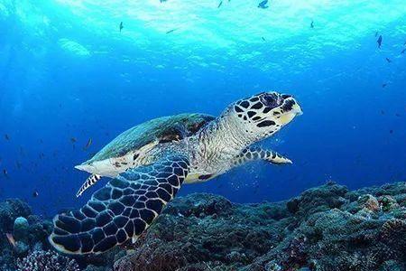 物理海洋学就业方向