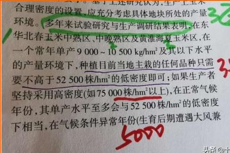五分地啥意思
