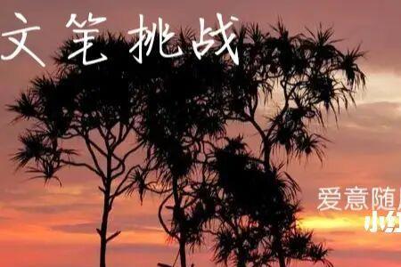 爱随风而起什么意思