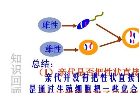 基因是植物的遗传物质吗