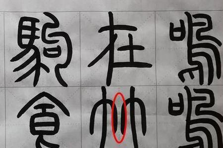 谁能提供一些特别的字
