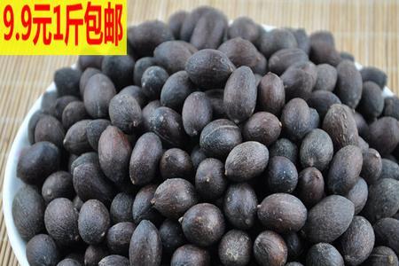葵扇果是什么