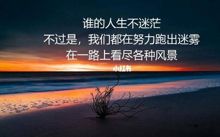 再投无路意思