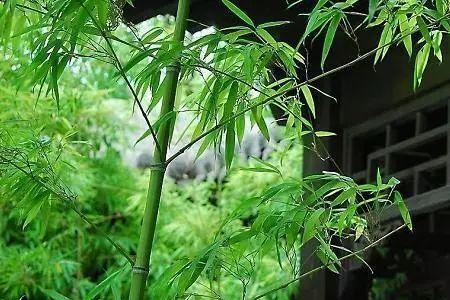 且以静心度流年意思