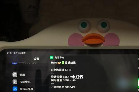 为什么ipad电池寿命降得特别快